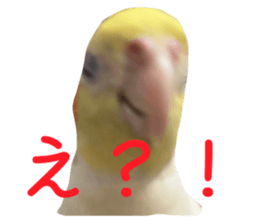 632838763