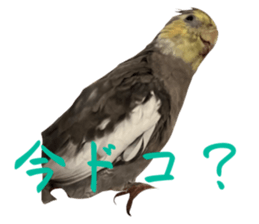 632838765