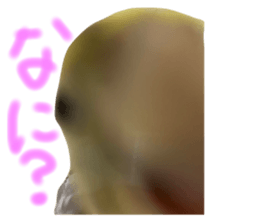 632838767
