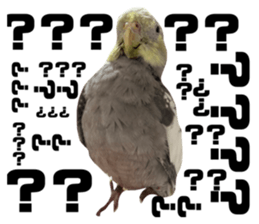 632838768