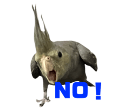 632838772