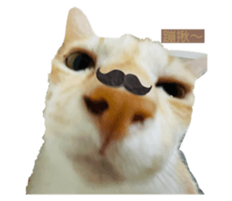 632876978