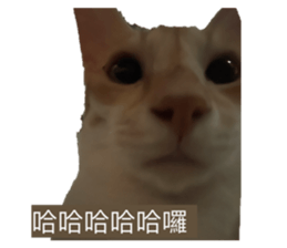 632876979