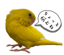 632894525