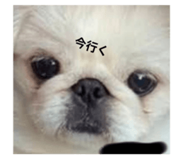 632894538