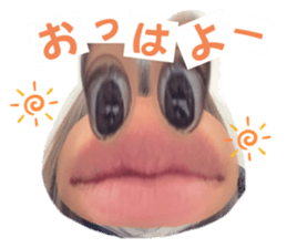 632920095