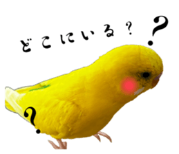 632950380