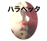 632959216