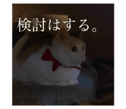 632959222