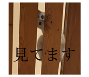 632959223