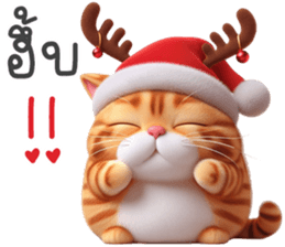 632970026