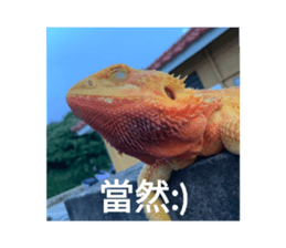 632993327