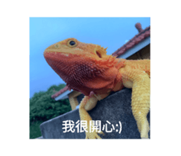 632993328
