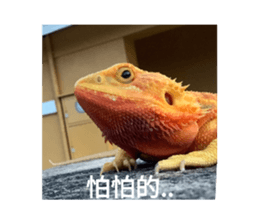 632993330