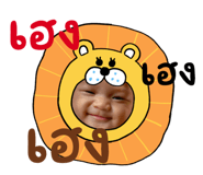 633013856