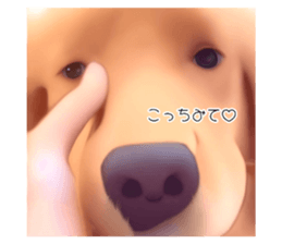 633015443