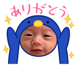 633040252