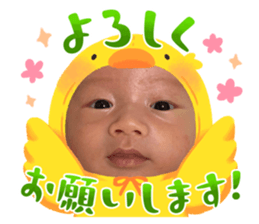 633040253