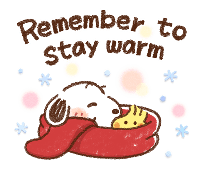 ลายที่ 45