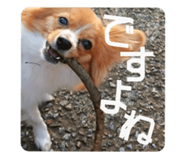633056431
