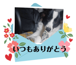 633083718