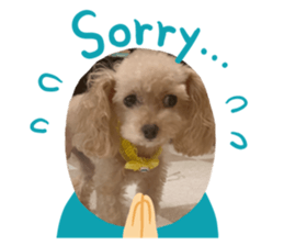 633083733