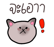 633098951