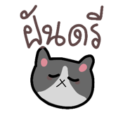 633098955