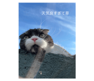 633120895