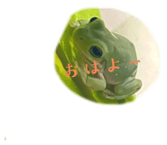 633124486