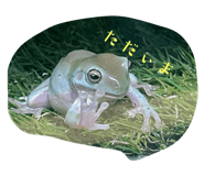 633124491