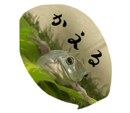 633124493