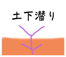 633126843