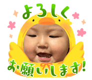 633131136