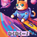 633145496