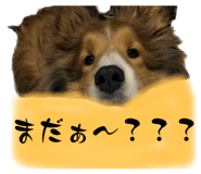 633167719