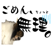 633167731