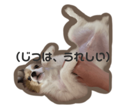 633173879