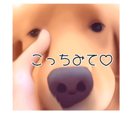 633174092