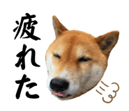633176785