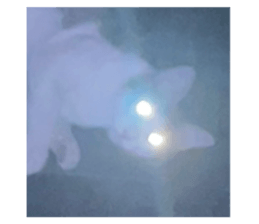 633198473
