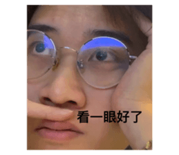 633213161