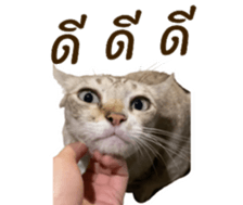 633214628