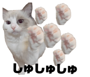 633221111