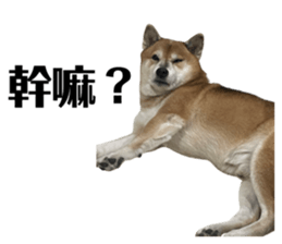 633242448