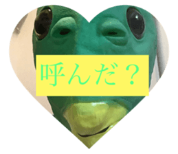 633310944