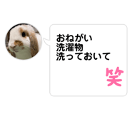 633318560