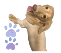 633323542