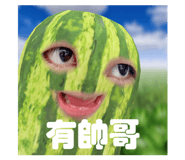 633328665