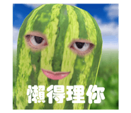 633328667
